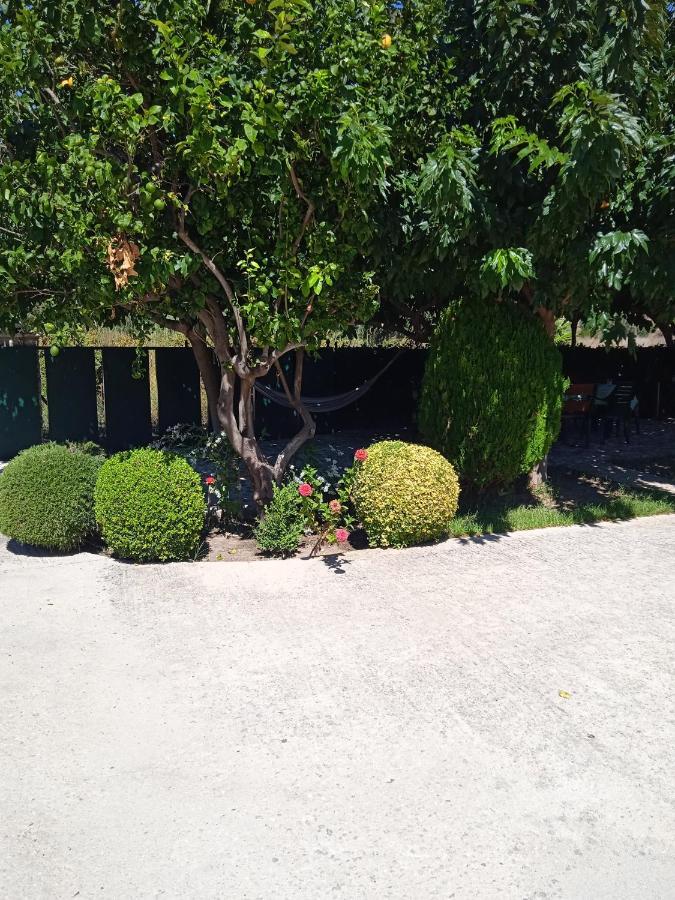 Appartamento Katerina House Finikounta Esterno foto